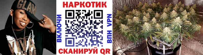 Цена Болгар Псилоцибиновые грибы ГАШИШ Канабис