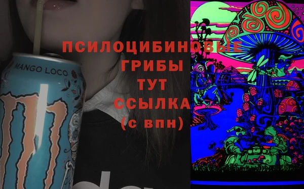 ешки Богданович