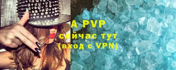 ешки Богданович