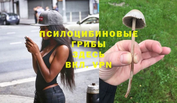 наркотики Богородск