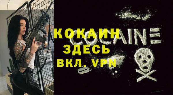 ешки Богданович