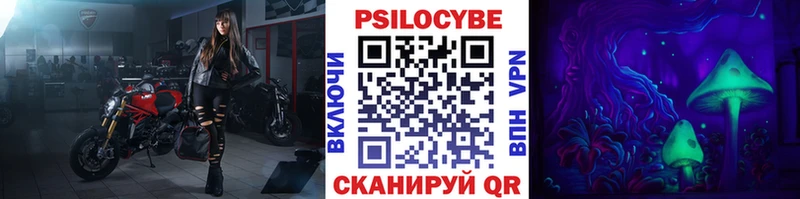 мориарти наркотические препараты  Болгар  Псилоцибиновые грибы Psilocybine cubensis 